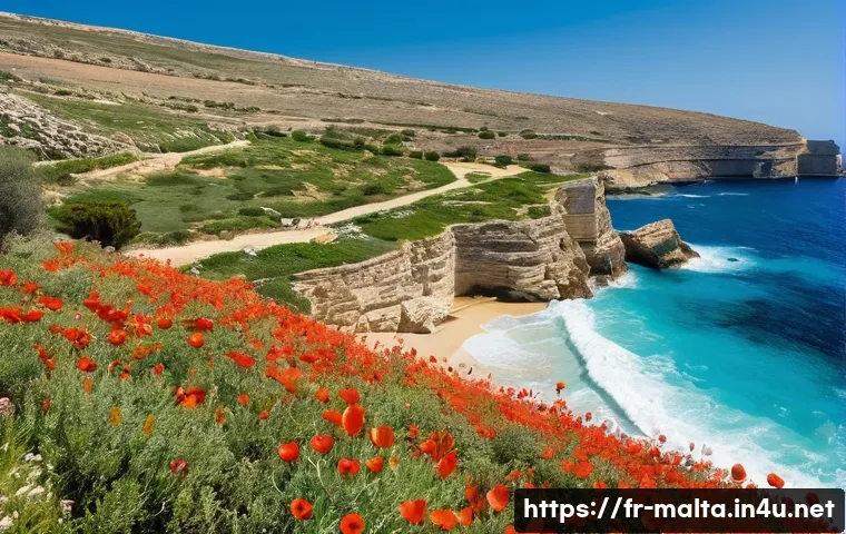 Malte en Randonnée Les Sentiers Cachés Qui Vous Laisseront Sans Voix 4 몰타 하이킹 코스 관련 이미지 2